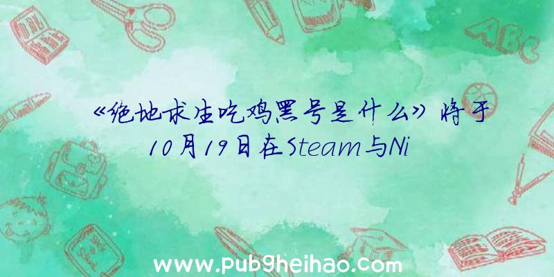 《绝地求生吃鸡黑号是什么》将于10月19日在Steam与Nintendo